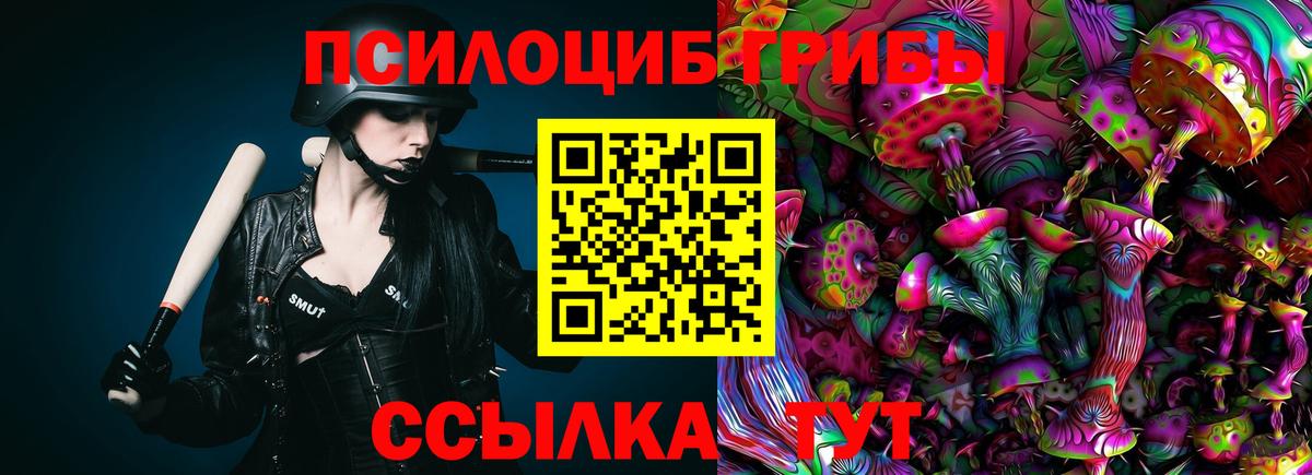 где продают   Вход с VPN  Геленджик  Псилоцибиновые грибы MAGIC MUSHROOMS 